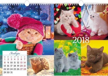 Календарь настенный, перекидной с ригелем на 2018г. Hatber "Мини.Кот круглый год" 22х30см, на гребне
