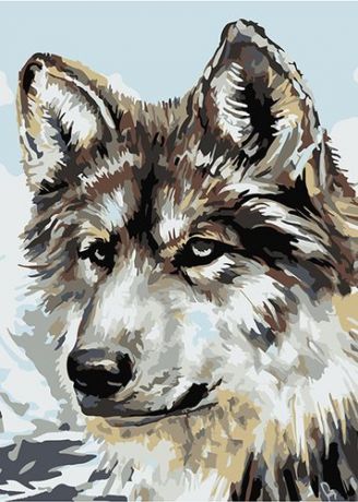 Набор для творчества, Артвентура, Раскраска по номерам Серый волк (холст на картоне, 21х29.7см) MINIA40117