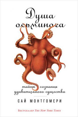 Монтгомери С. Душа осьминога: Тайны сознания удивительного существа