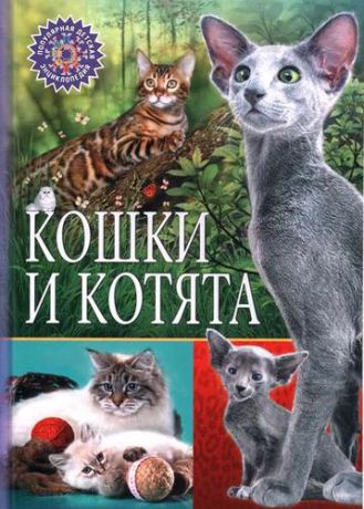 Феданова Ю., ред. Кошки и котята