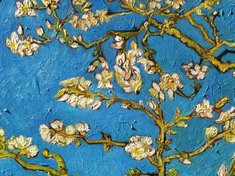 Чехол для карточек. Ван Гог. Цветущие ветки миндаля (в форме книжки) (Арте)