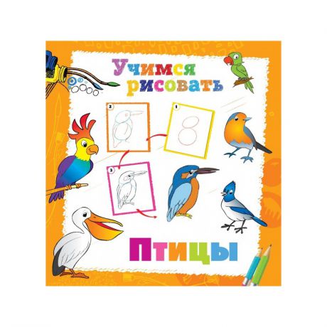 ND Play Книга Учимся рисовать Птицы