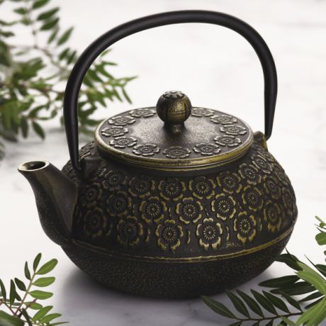 Чайник чугунный "Кенжу" с ситом (850 мл, золото)