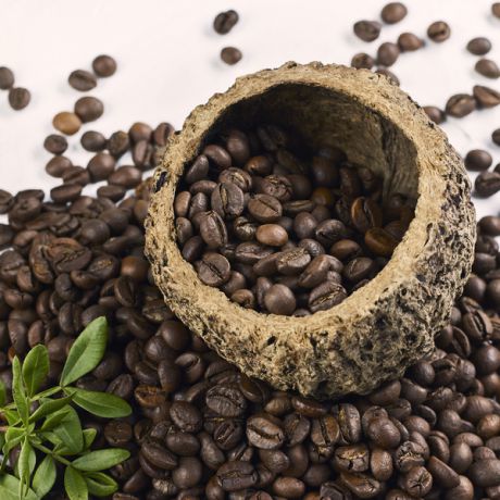 Ароматизированный кофе в зёрнах "Кокосовый рай", высшая категория (100 г)