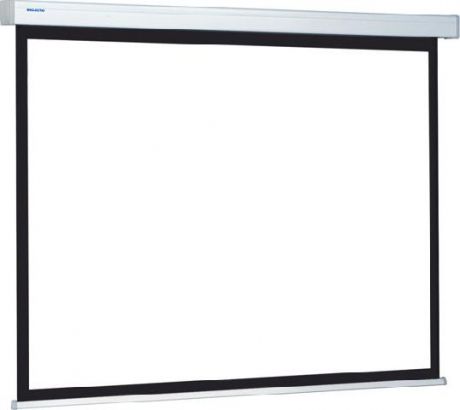ProScreen 200x200см Datalux настенный рулонный 1:1 (10200028)