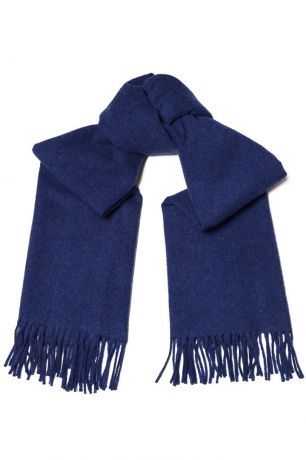 Acne Studios Синий шерстяной шарф Canada New