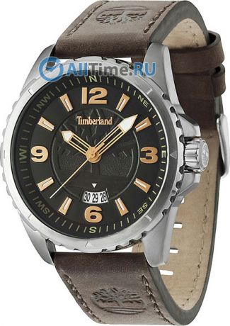 Мужские часы Timberland TBL.14531JS/02