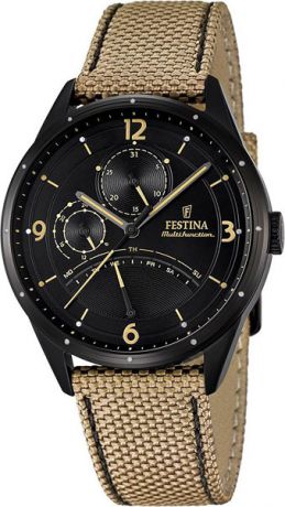 Мужские часы Festina F16849/1