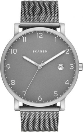 Мужские часы Skagen SKW6307