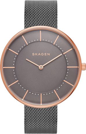 Женские часы Skagen SKW2584