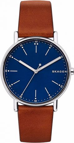 Мужские часы Skagen SKW6355