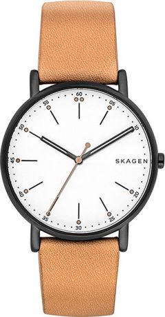 Мужские часы Skagen SKW6352