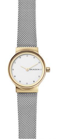 Женские часы Skagen SKW2666