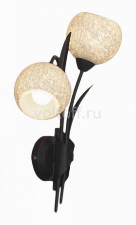 Бра Lussole Bagheria LSF-6291-02