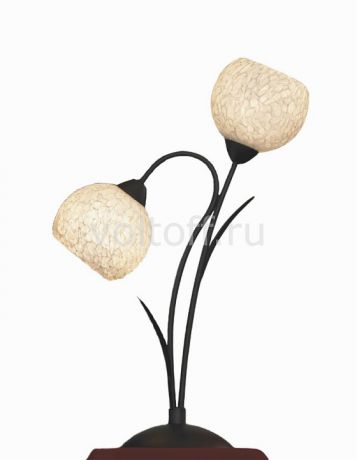 Настольная лампа декоративная Lussole Bagheria LSF-6294-02