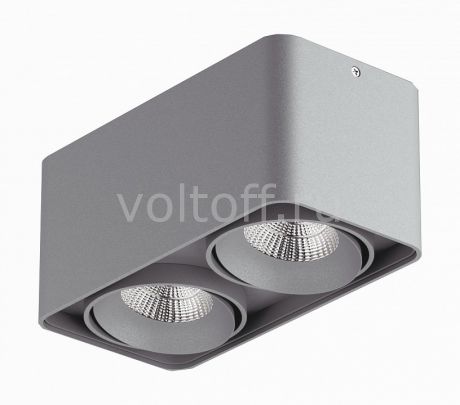 Накладной светильник Lightstar Monocco 52129