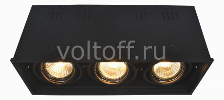 Накладной светильник Arte Lamp Cardani A5942PL-3BK