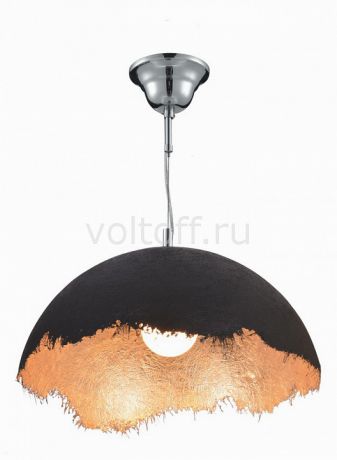 Подвесной светильник Arte Lamp Dome A8148SP-1GO
