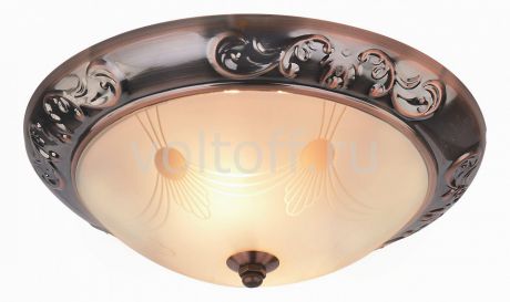 Накладной светильник Arte Lamp Alta A3014PL-2AC