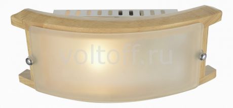 Накладной светильник Arte Lamp Archimede A6460AP-1BR