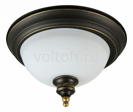 Накладной светильник Arte Lamp Bonito A9518PL-2BA