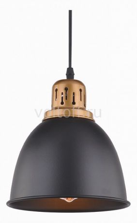 Подвесной светильник Arte Lamp Eurica A4245SP-1BK