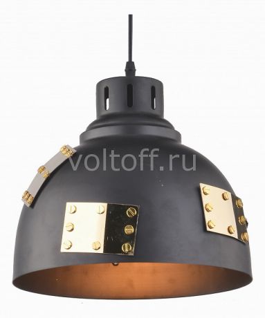 Подвесной светильник Arte Lamp Eurica A6024SP-1BK