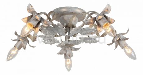 Потолочная люстра Arte Lamp Libellula A8626PL-5WG