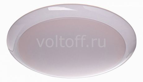 Накладной светильник MW-Light Ривз 674014101