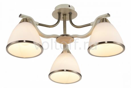 Потолочная люстра TopLight Sheena TL3670X-03AB