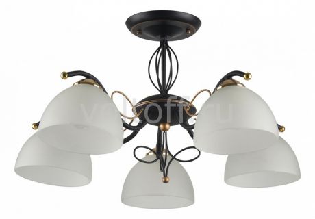 Люстра на штанге IDLamp Ragia 554/5PF-Blackpatina