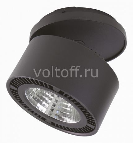 Спот Lightstar Forte Inca 214827