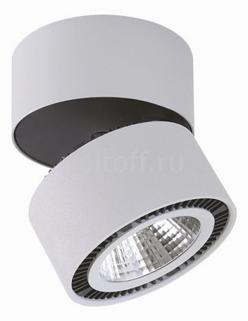 Накладной светильник Lightstar Forte 214859