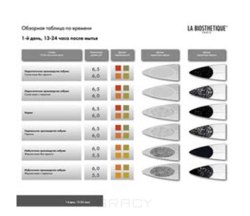 La Biosthetique Проверочная таблица Scalp Check Indicators Result Table