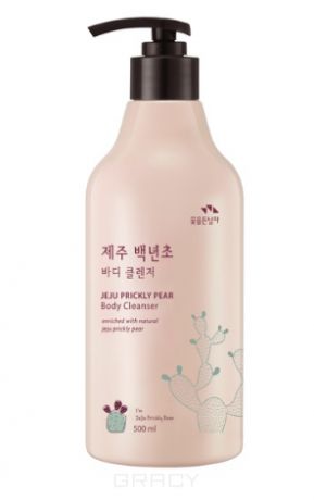 Flor de Man Гель для душа "Прикли Чеджу", увлажняющий Jeju Prickly Pear Body Cleanser, 500 мл