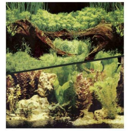 Фон для аквариума HAGEN двухсторонний растительный/растительный 45см (цена за 10см)