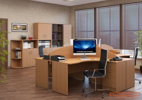 Комплект офисной мебели Riva Рива К1