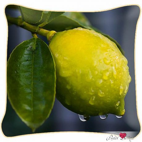 Декоративные подушки Fototende Декоративная подушка Лимон (45х45)