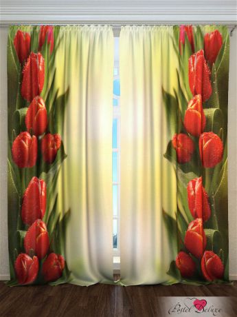Шторы Fototende Фотошторы Красные тюльпаны