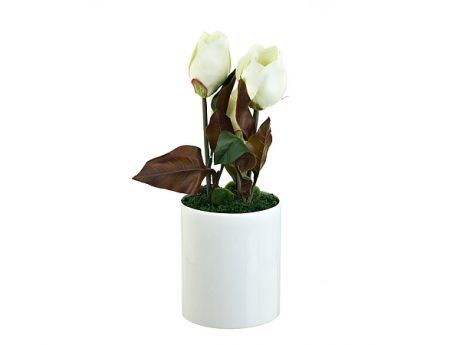 Искусственные растения ENS GROUP Искуственный цветок Белые Цветы (18х49 см)