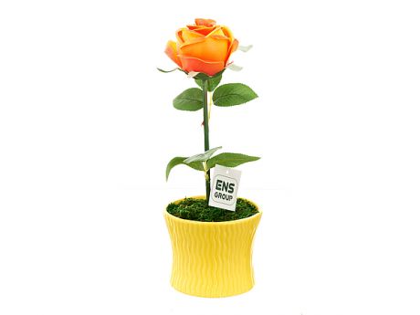 Искусственные растения ENS GROUP Искуственный цветок Чайная Роза (12х33 см)
