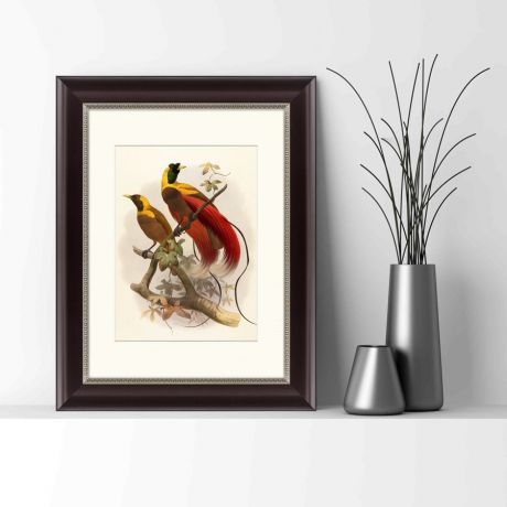 Картины, постеры, гобелены, панно Картины в Квартиру Картина Красная Райская Птица (35х45 см)