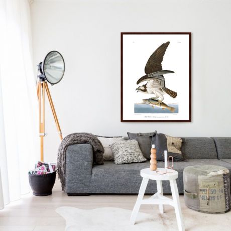 Картины, постеры, гобелены, панно Картины в Квартиру Картина Орел-Рыбак (102х130 см)