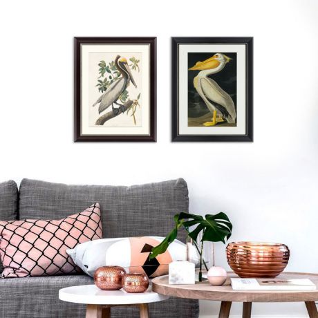 Картины, постеры, гобелены, панно Картины в Квартиру Картина Американский Белый Пеликан (47х60 см)