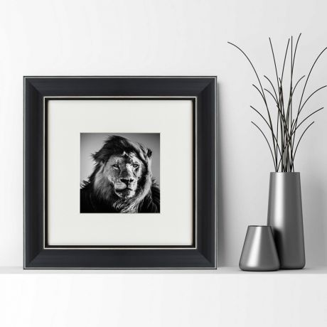 Картины, постеры, гобелены, панно Картины в Квартиру Картина Портрет Льва (35х35 см)