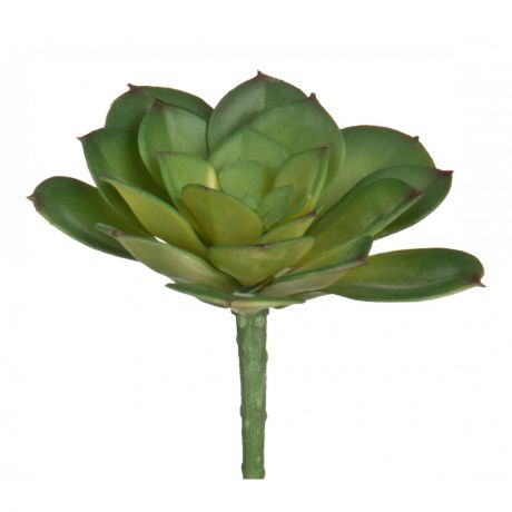 Искусственные растения Arti-M Искусственное растение Aston (10 см)