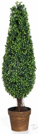 Искусственные растения ARTEVALUCE Искусственное растение Rhona (91 см)