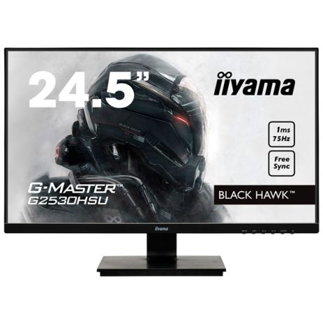 Монитор Iiyama G2530HSU-B1