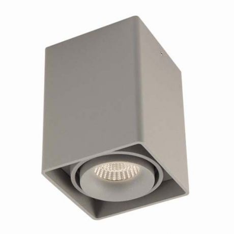Потолочный светильник Donolux DL18610/01WW-SQ Silver Grey