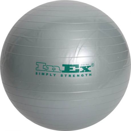 Гимнастический мяч 65 см Inex IN/BU-26 серебрянный